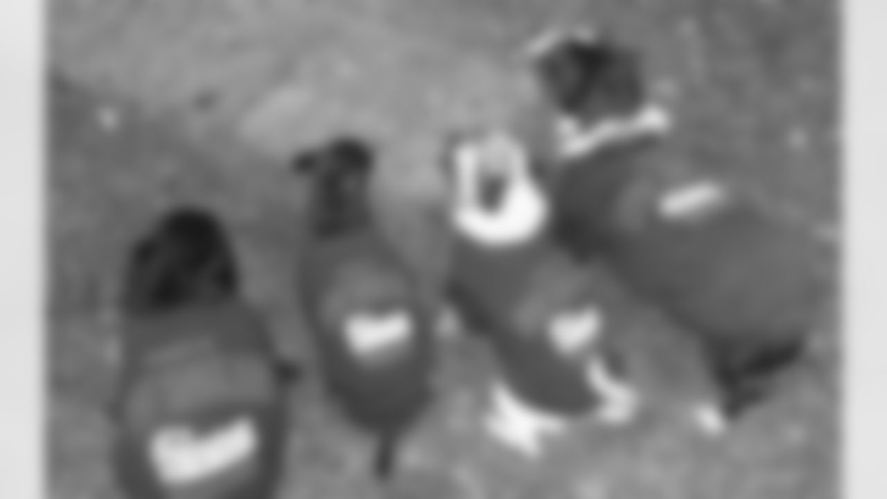 tempPATS-PUPPIES.jpg