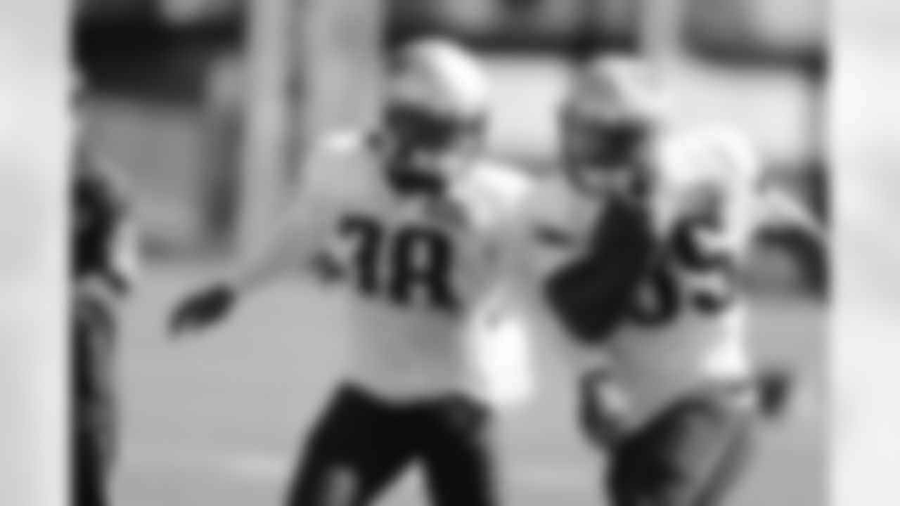 Jonas Gray and Brandon Bolden.