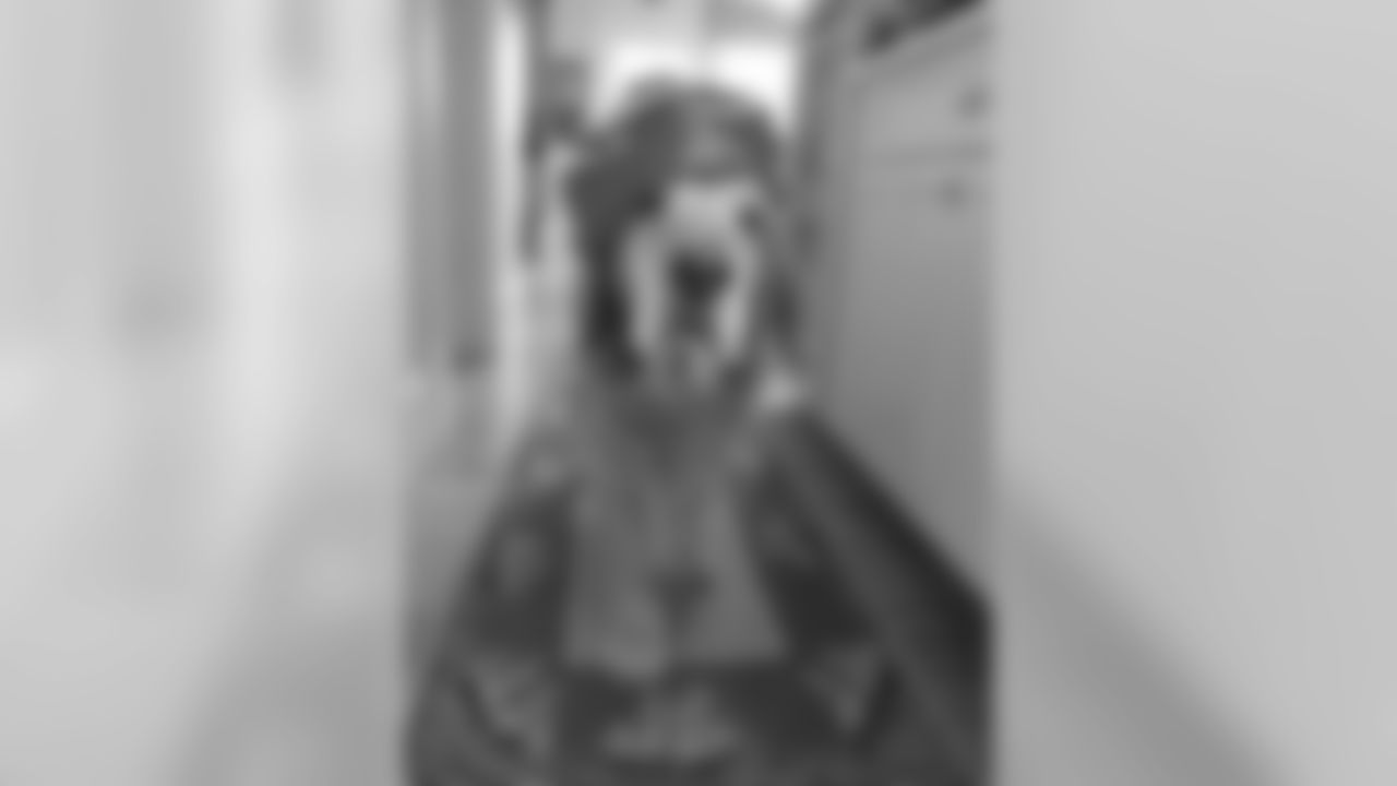 temp1609730_10152167097267899_889026488_n.jpg