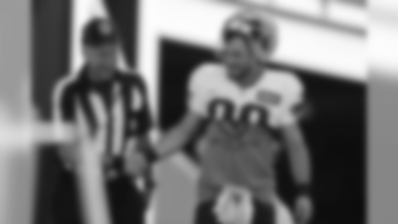 Danny Amendola