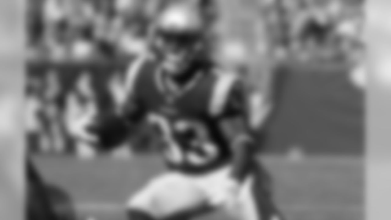Dion Lewis - The undersized lead back is coming off a career game and has been extremely impressive since taking on a larger role over the second half of the season. With the rest of the running back crew dealing with injuries, Lewis may once again be a key part of the offensive game plan in the cold as the Patriots run toward the postseason. (Winslow Townson/AP Images for Panini)
