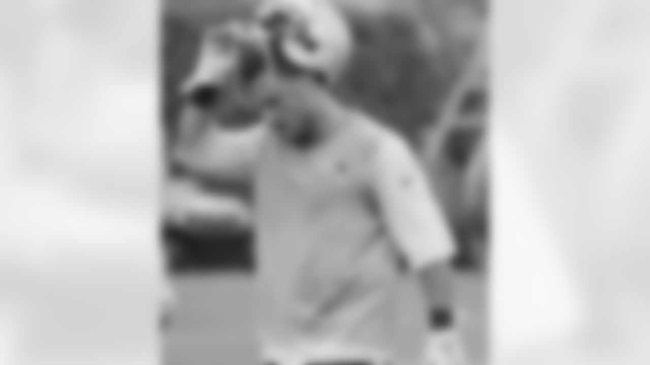 amendola_2450.jpg