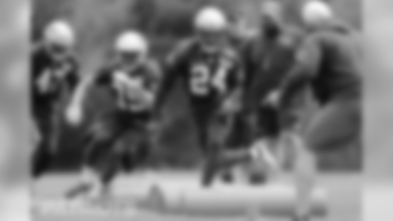 James White/Chris Hogan – The two veteran targets were banged up or out of the lineup altogether late in the season as Tom Brady's stats took a dip. But the two trusted playmakers should be back in the mix to add depth to the passing attack against the Titans.