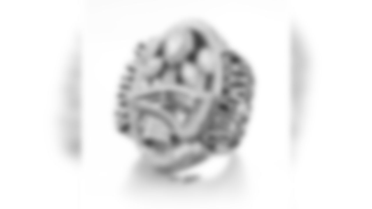 patriots_3_quarter_right_copyright.jpg