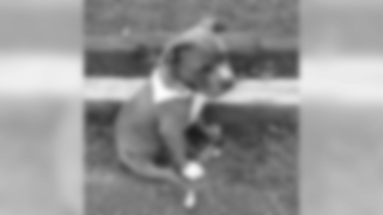 5bdb7e51509294c467e07e2590ded5ab.jpg