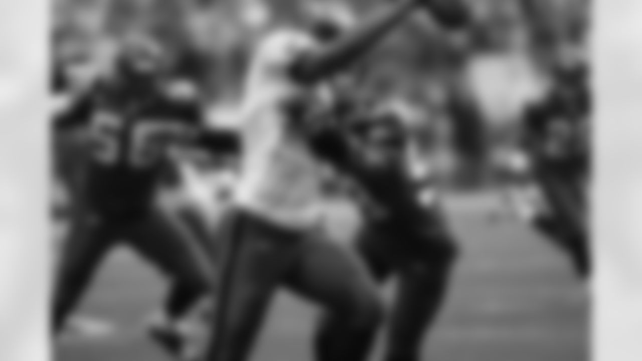 Julian Peterson gets to Donovan McNabb