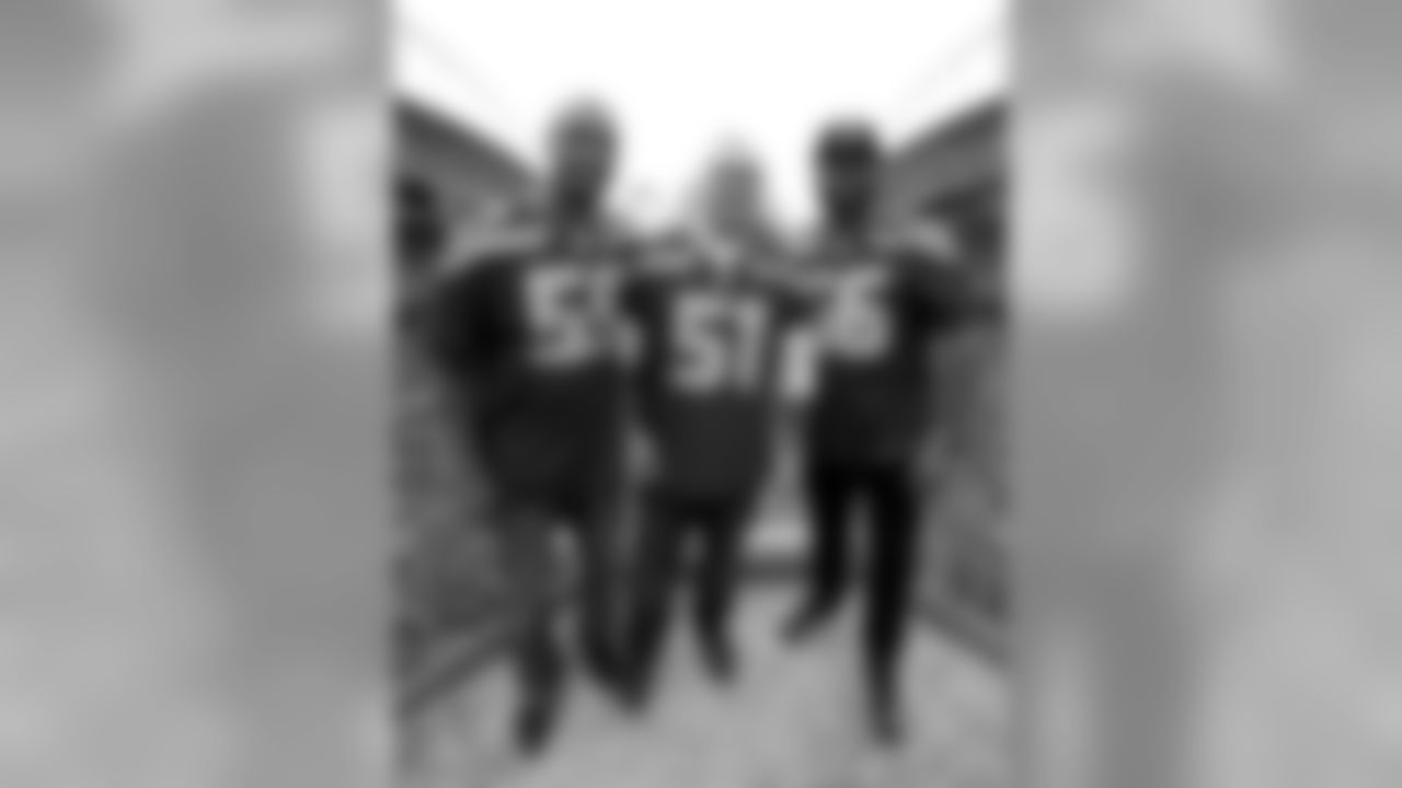 lm_llm31442_0.jpg