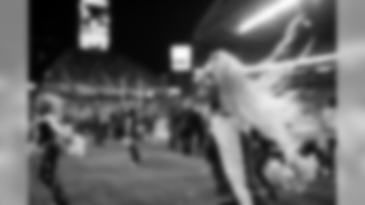 20171120_seagals_falcons_janegphoto-117.jpg