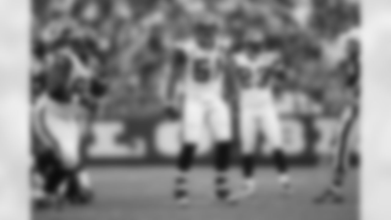 Lofa Tatupu