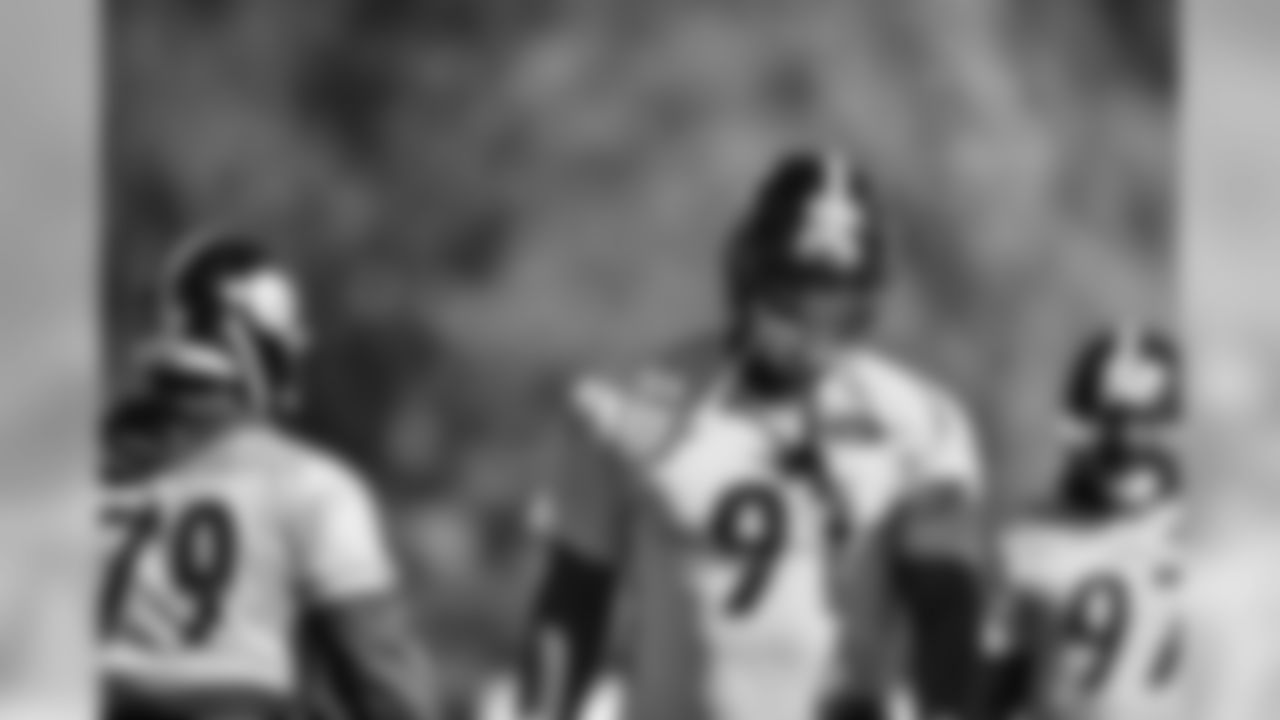 Stephon Tuitt