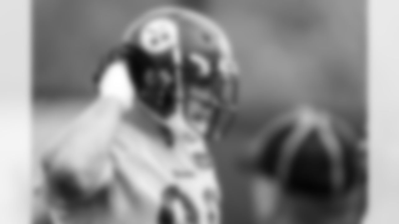 T.J. Watt