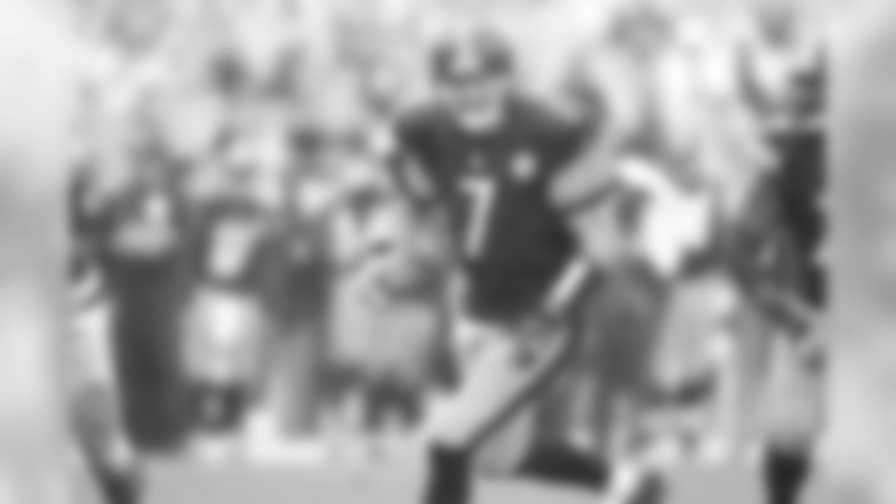 QB Ben Roethlisberger completed 46 of 74 passes (62.2%) in 2016 for 559 yards, 6 touchdowns, and 3 interception for a quarterback rating of 95.5.