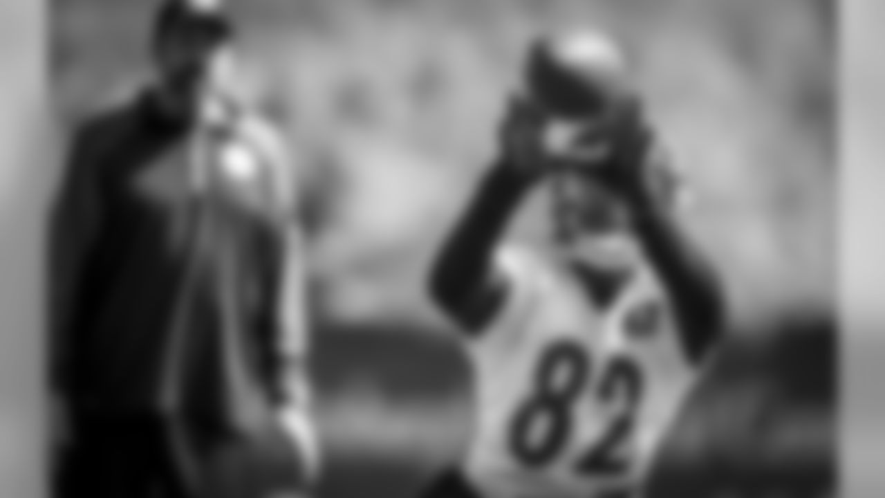Todd Haley, Demarcus Ayers