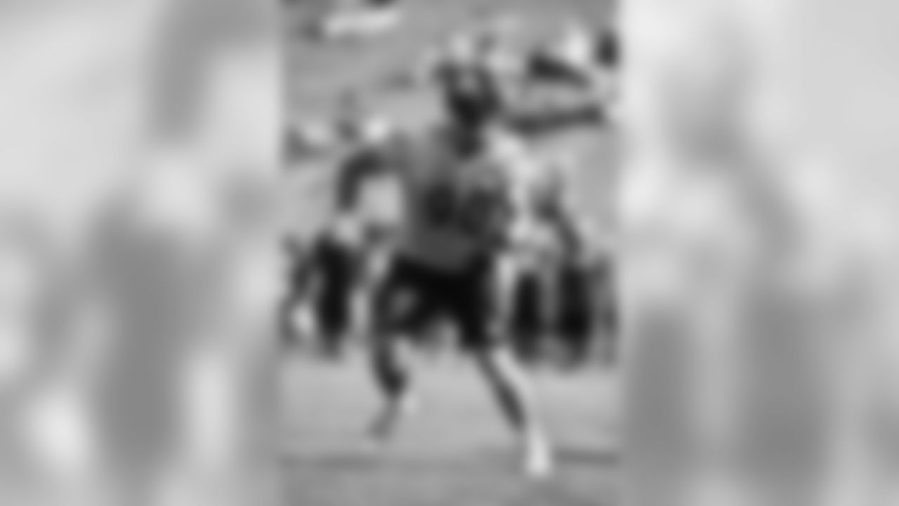 T.J. Watt