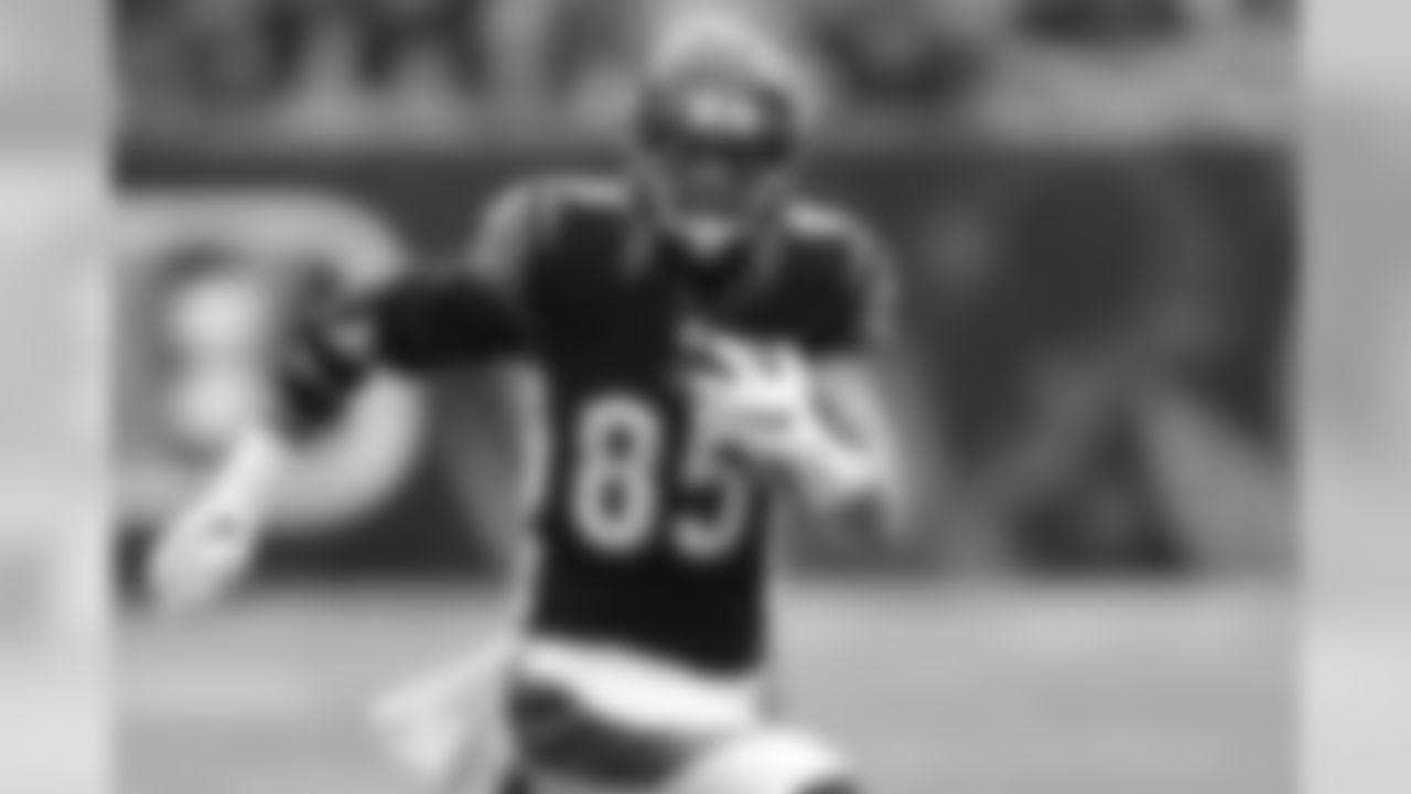 Bengals TE Tyler Eifert has recorded 52 receptions for 615 yards and leads the team in touchdown receptions with 13.