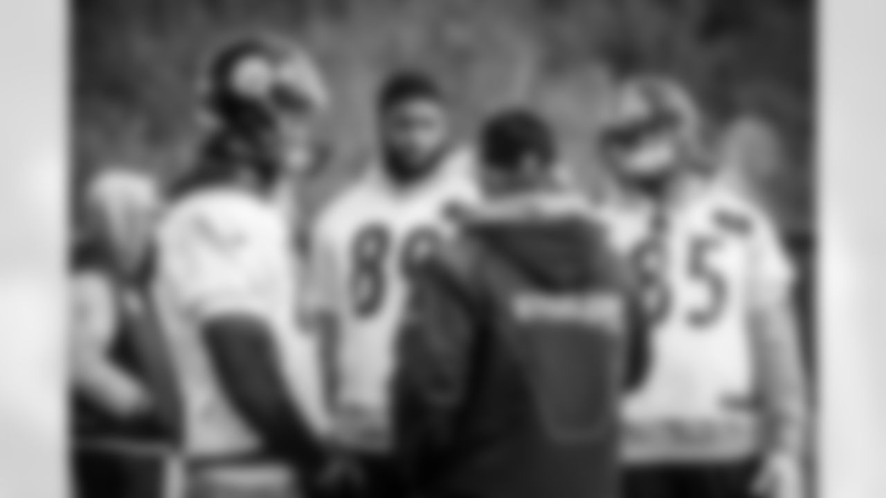 Jesse James, Ladarius Green, and Xavier Grimble