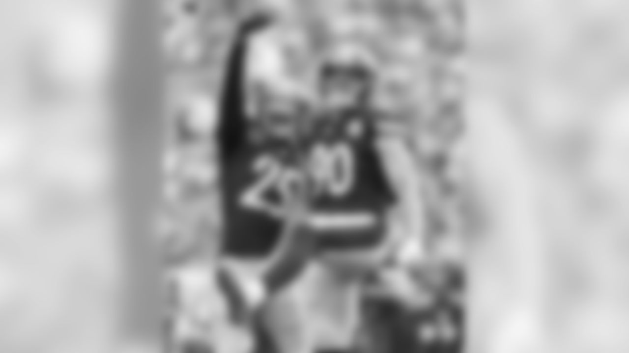 T.J. Watt