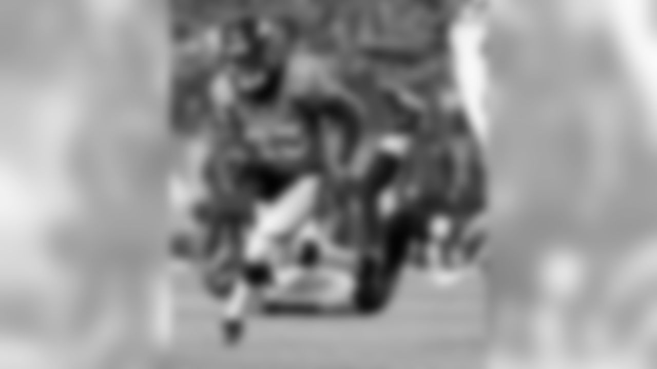 RB Ronnie Hillman led the Broncos rushing game int he regular season with 863 yards on 207 carried (4.2 avg.) and 7 touchdowns.