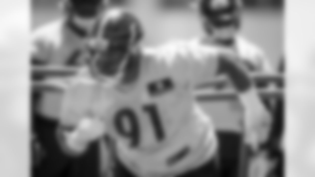 Stephon Tuitt