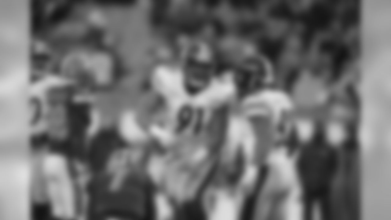 DE Stephon Tuitt has recorded 6.5 sacks, 54 tackles, 11 quarterback hurries and 1 interception in 2015.