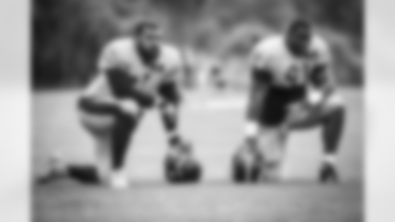 Cameron Heyward and Stephon Tuitt
