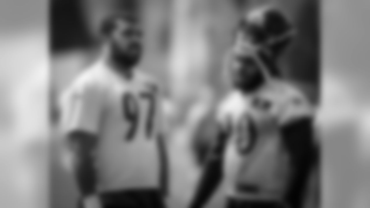 Cameron Heyward, Ricardo Mathews