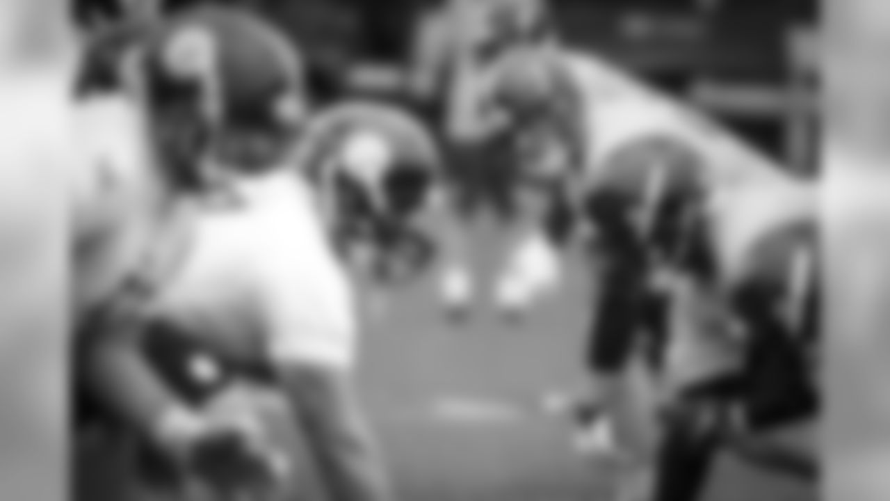 T.J. Watt
