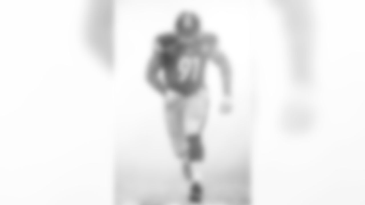 Stephon Tuitt