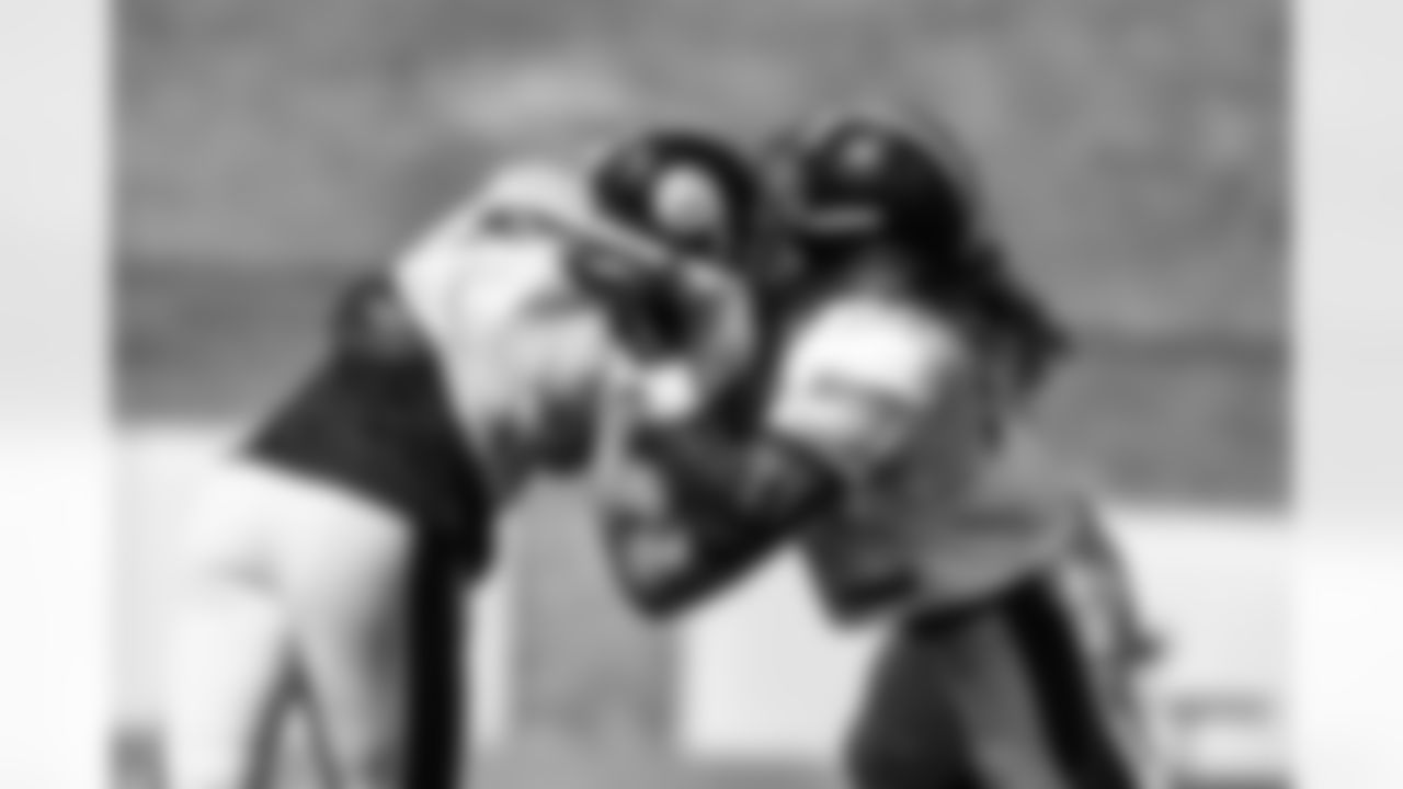 T.J. Watt and David Johnson