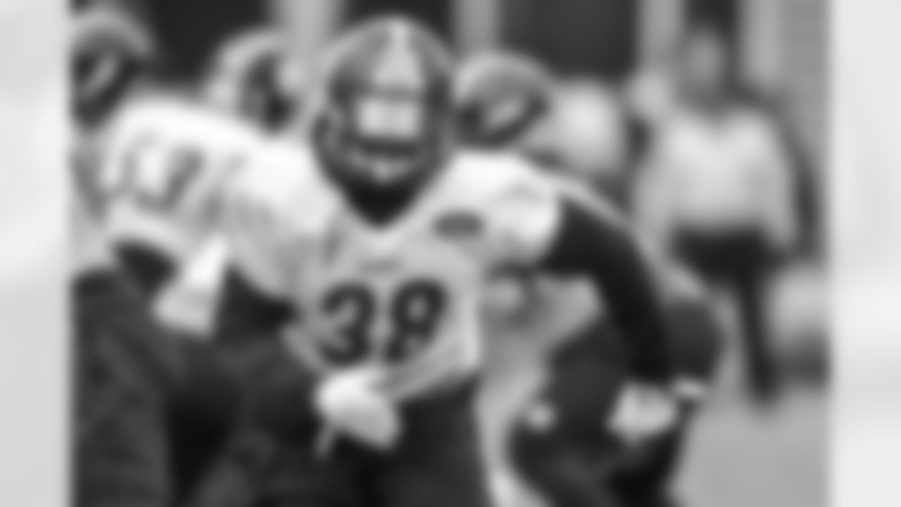 Stevan Ridley