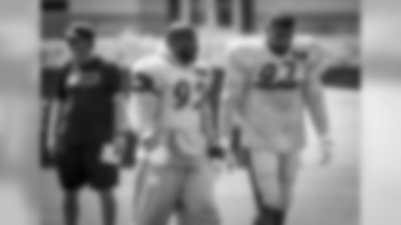 LB James Harrison and DE Cameron Heyward
