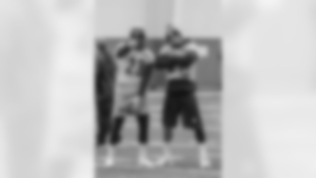 Mike Mitchell and Joe Haden