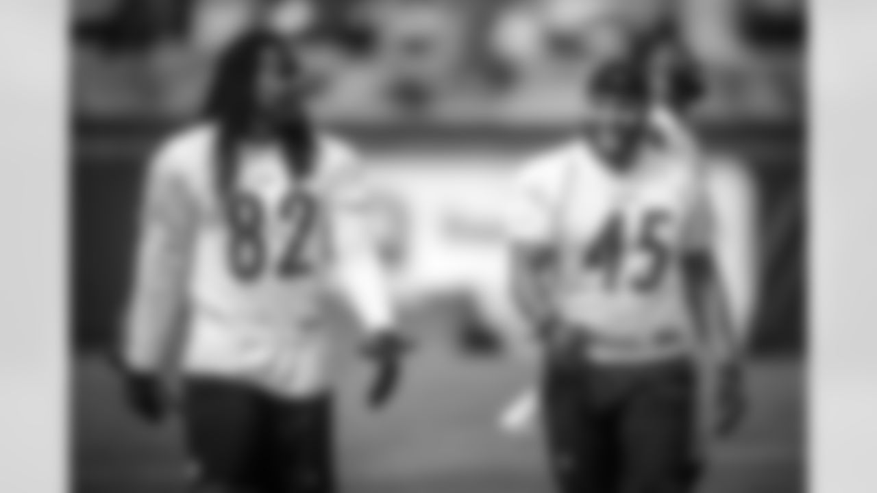 David Johnson and Roosevelt Nix