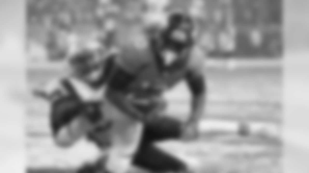 Broncos WR Emmanuel Sanders recorded 76 receptions in the regular season for 1,135 yards and tied for the team lead in touchdown receptions (6) with WR Demaryius Thomas.
