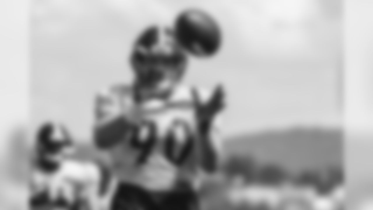 T.J. Watt