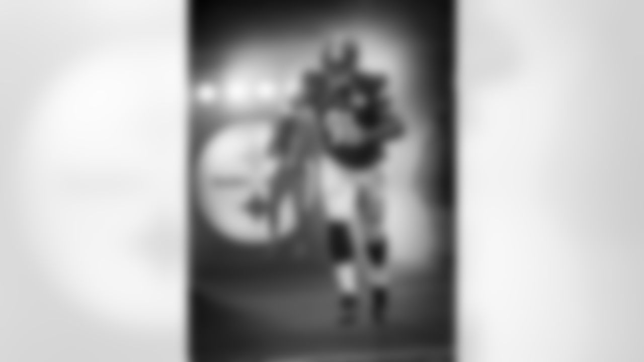 Stephon Tuitt