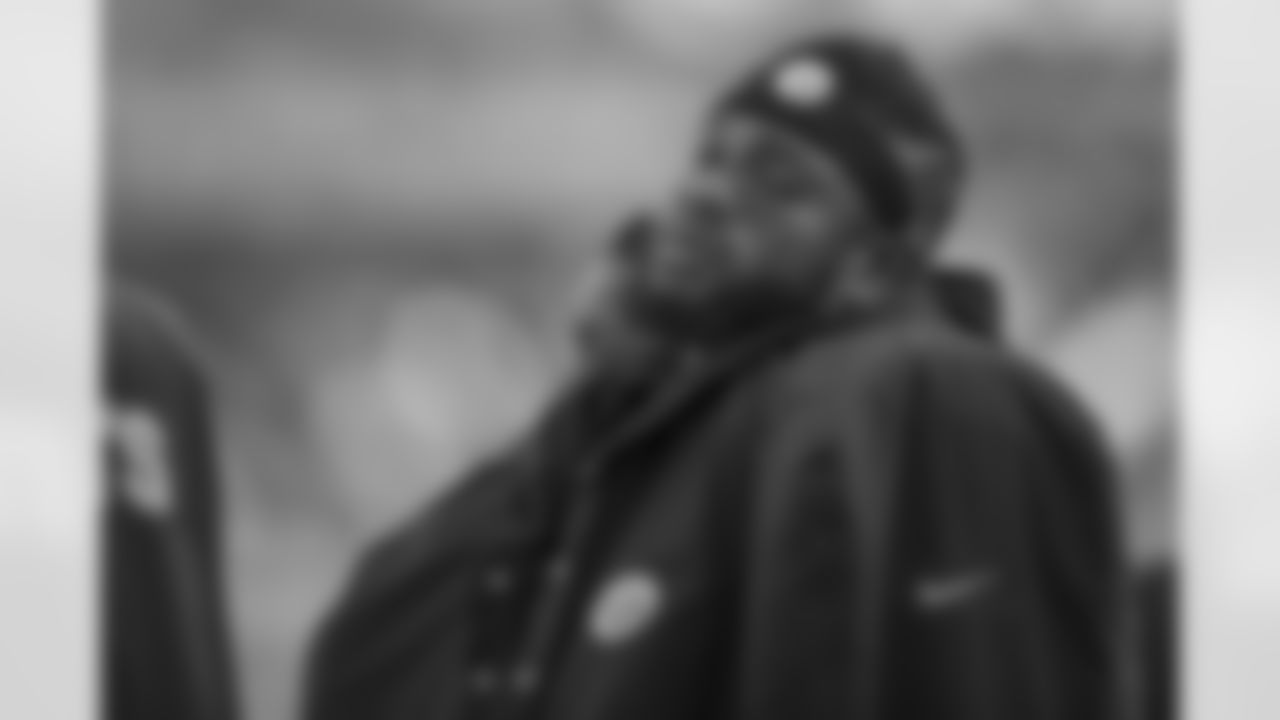 Stevan Ridley