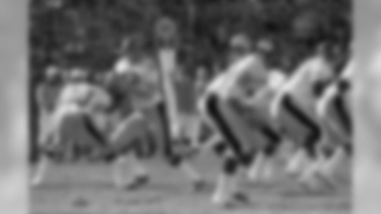 The Steelers defeated the Raiders 24-13 in an AFC Conference Championship game on Decmeber 29, 1974.
