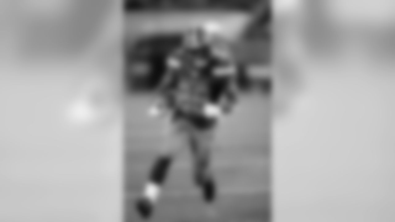 Browns RB Duke Johnson Jr. has carried the ball 100 times for 368 yards (3.7 avg.) in 2015.