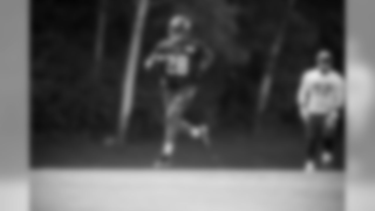 RB Adrian Peterson