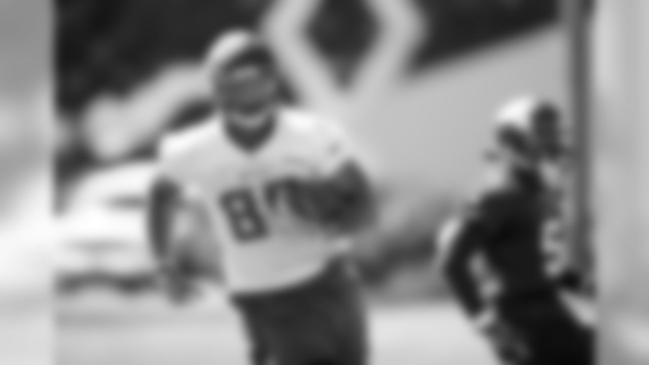 TE Nick Truesdell