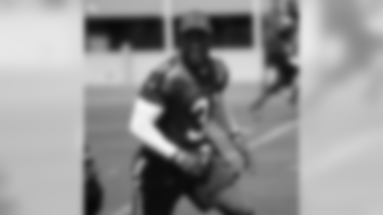 RB David Johnson