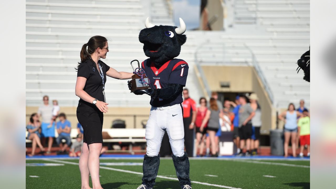 Bull American Football - sports mascot