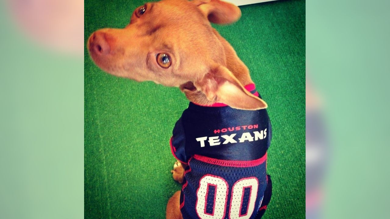 texans dog jersey