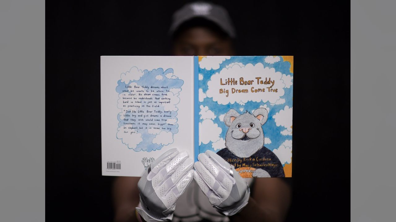 little bear teddy