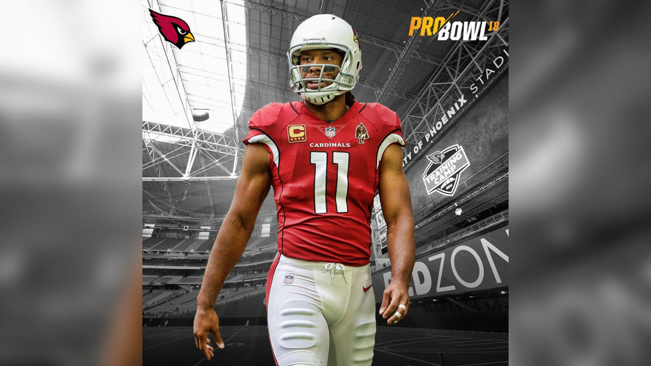 WR Larry Fitzgerald