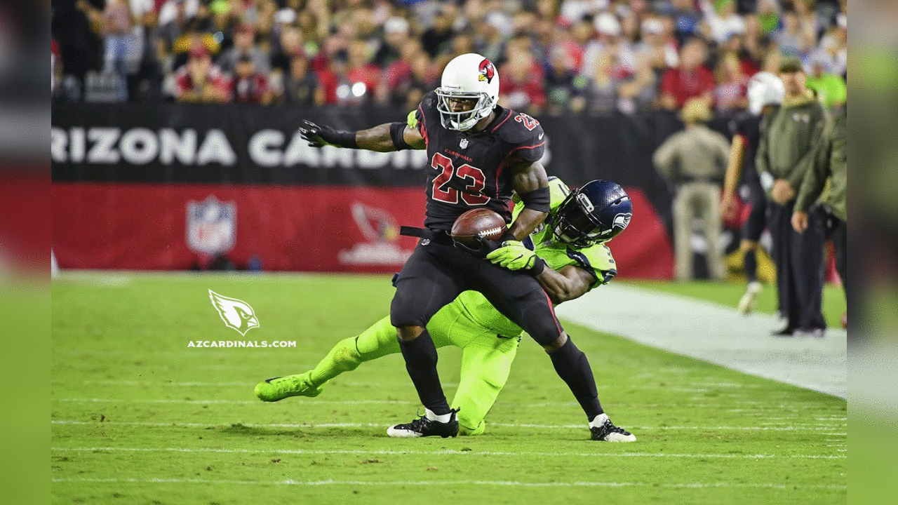 RB Adrian Peterson: 129 carries, 448 yards, 2 TD