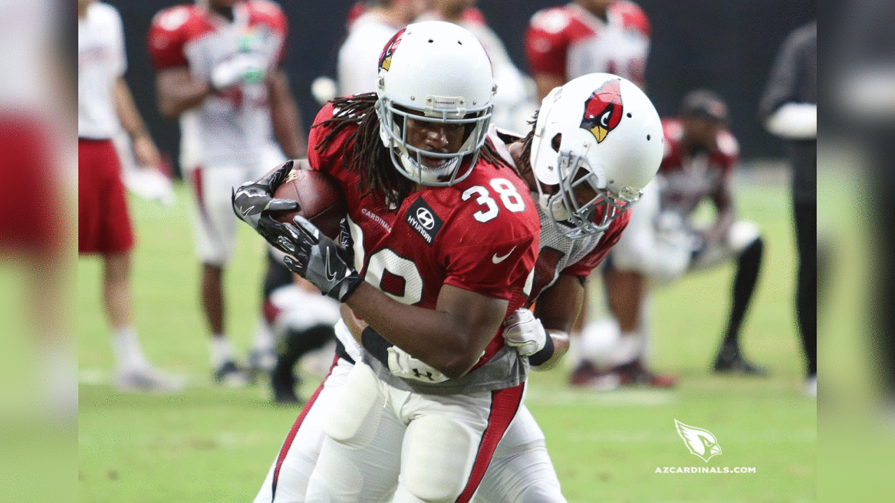 RB Andre Ellington is wrapped up by S Harlan Miller