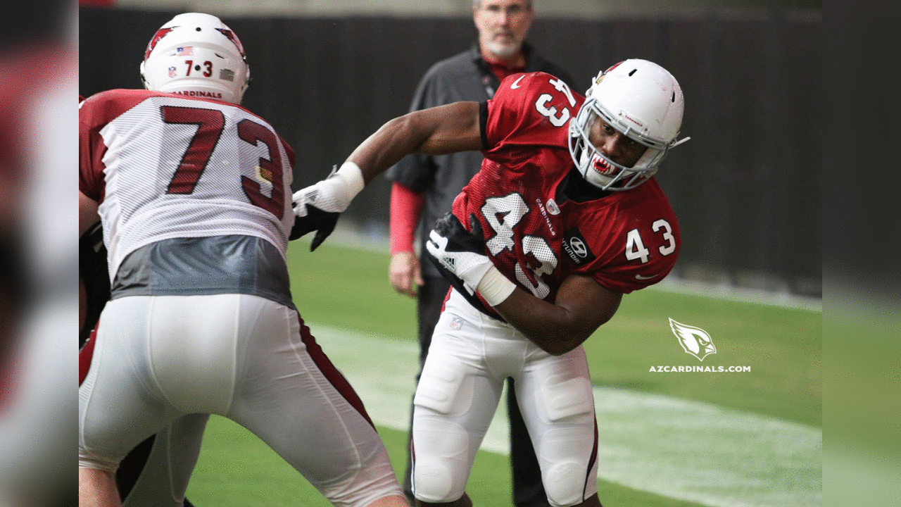 LB Haason Reddick during pass-rushing drills