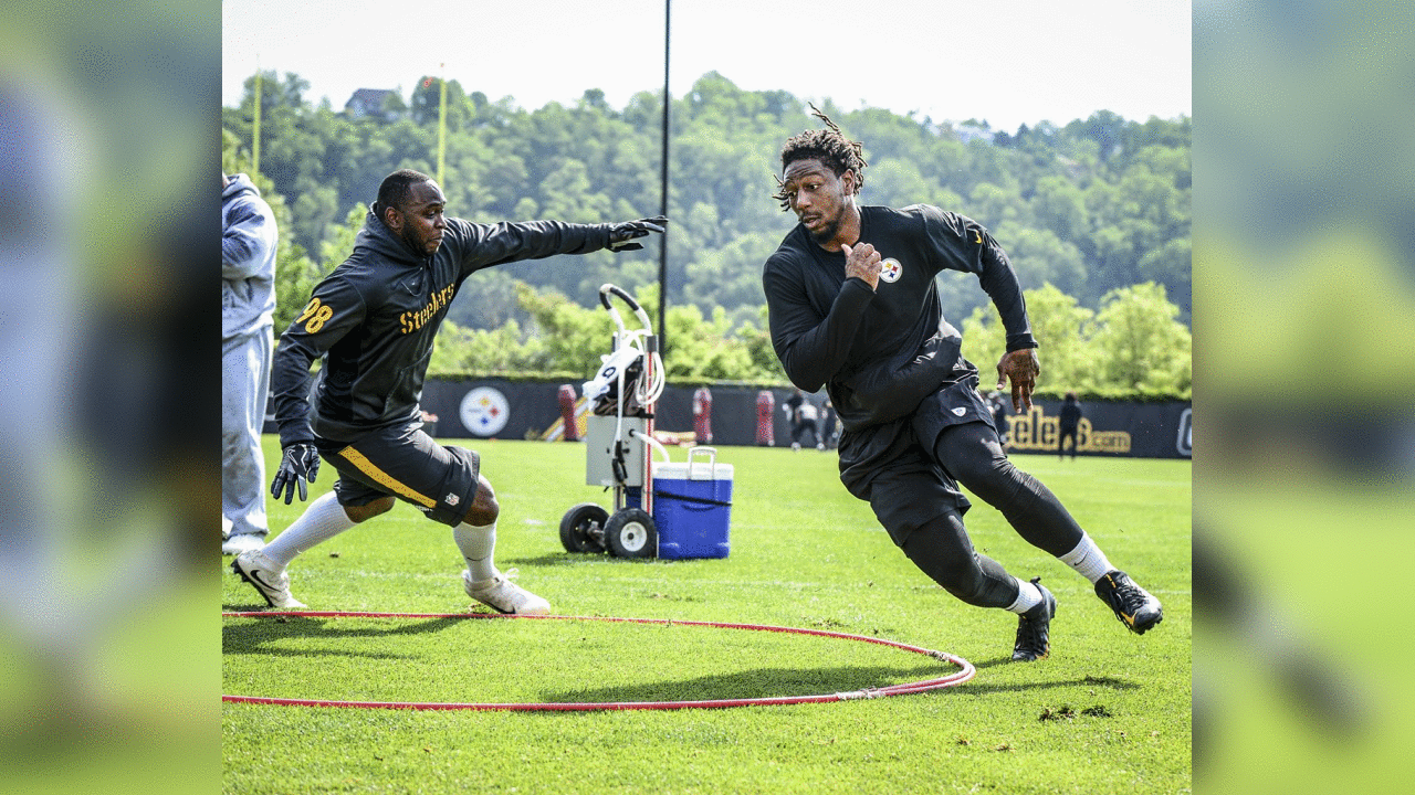 Bud Dupree and Vince Williams